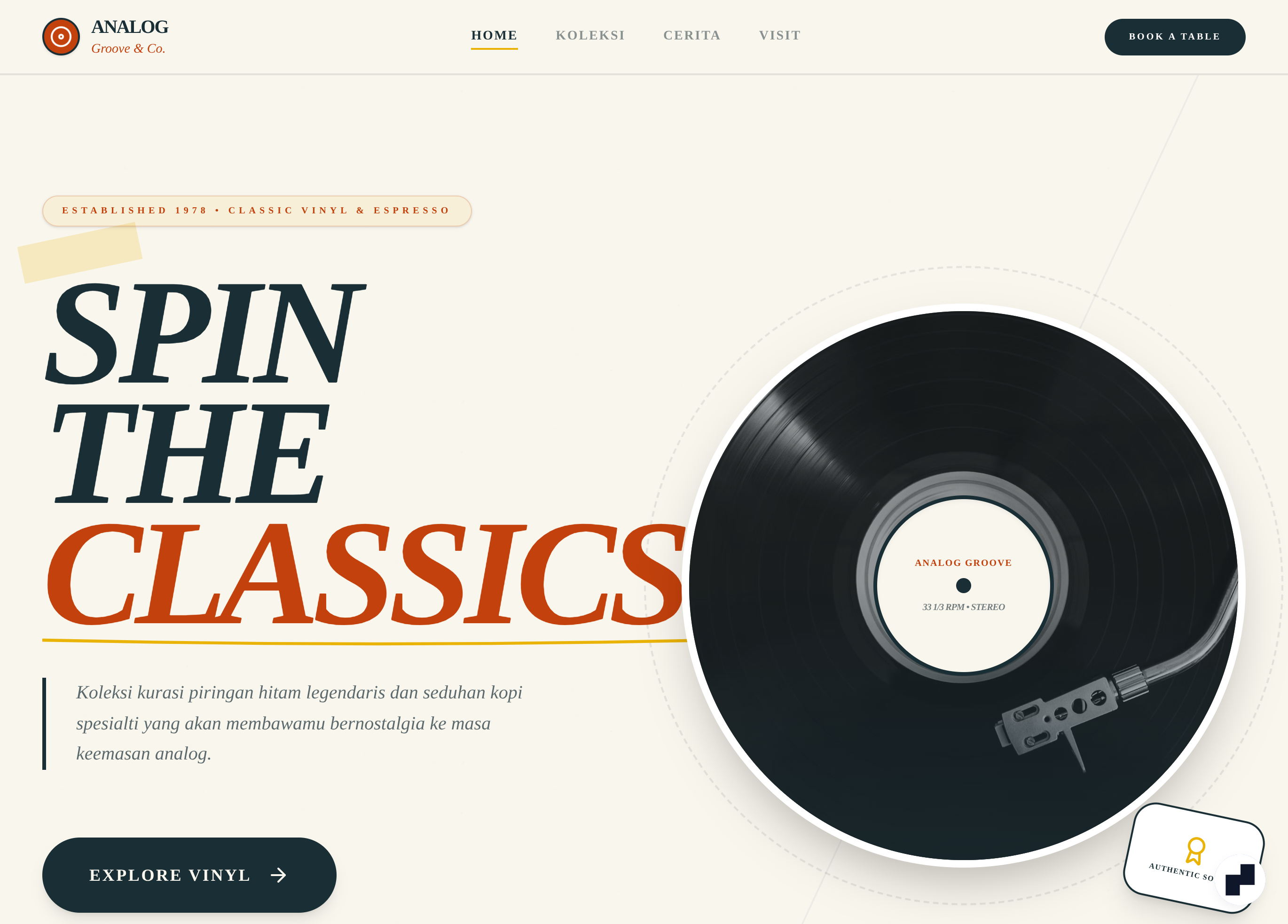 The Analog Groove